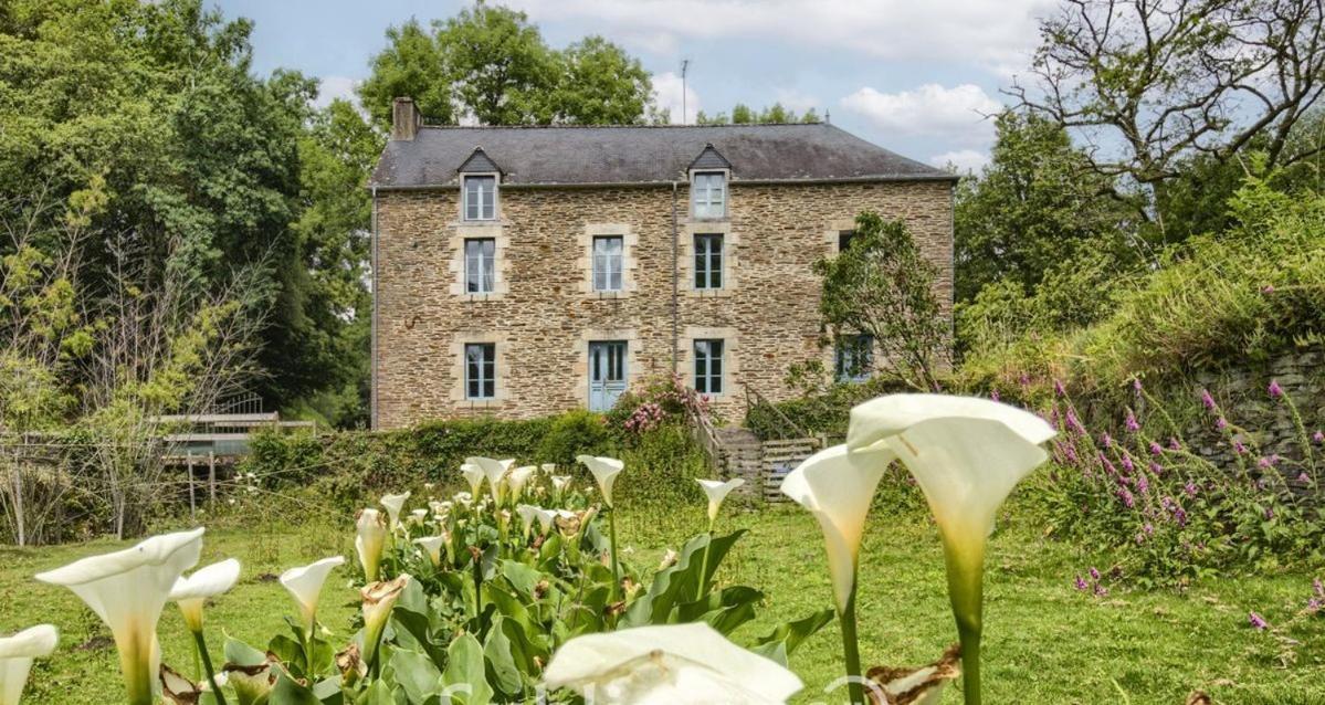 Le Moulin De Gueuzon Lägenhet Rochefort-en-Terre Exteriör bild